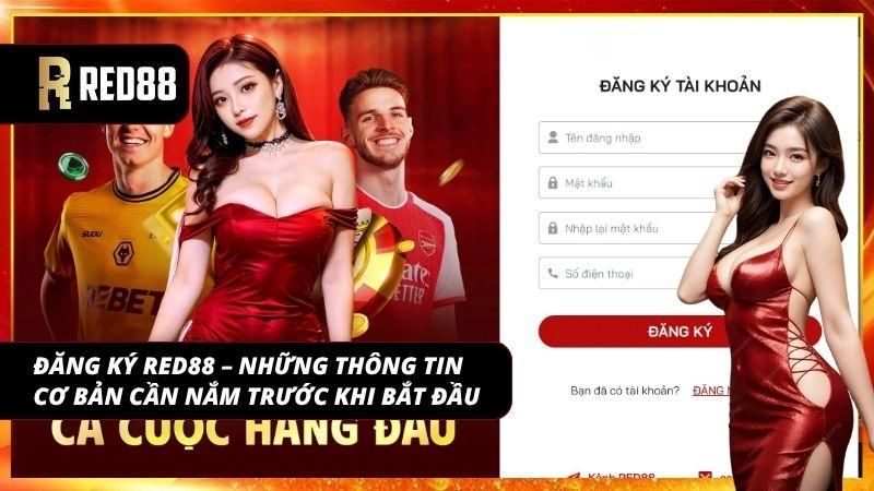 Hiểu trước quy trình giúp người mới chủ động hơn khi tham gia