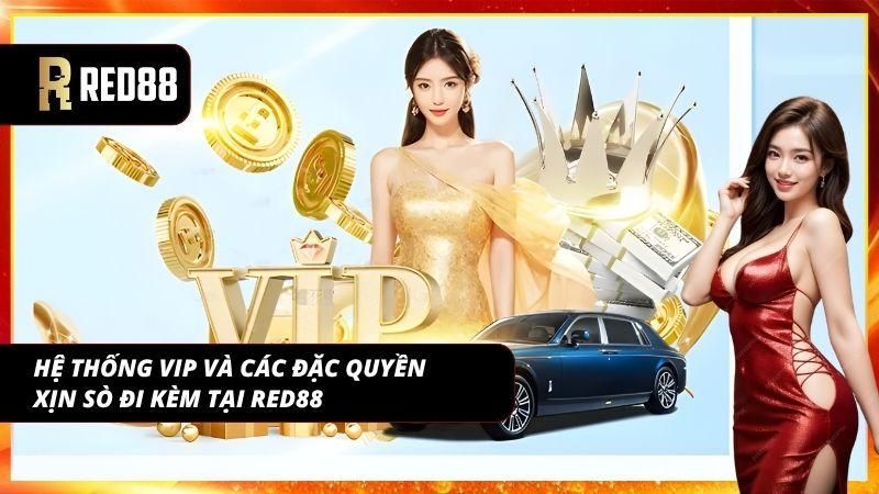 Đặc quyền VIP giúp tối ưu trải nghiệm khi tham gia lâu dài