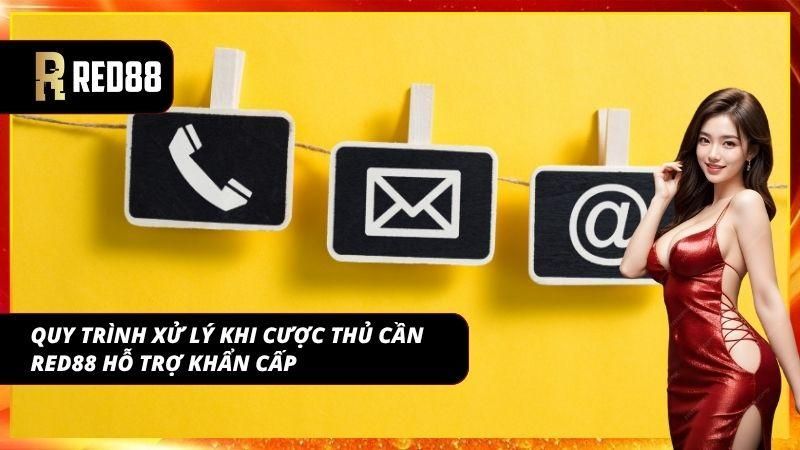 Quy trình rõ ràng giúp hạn chế sai sót khi xử lý vấn đề