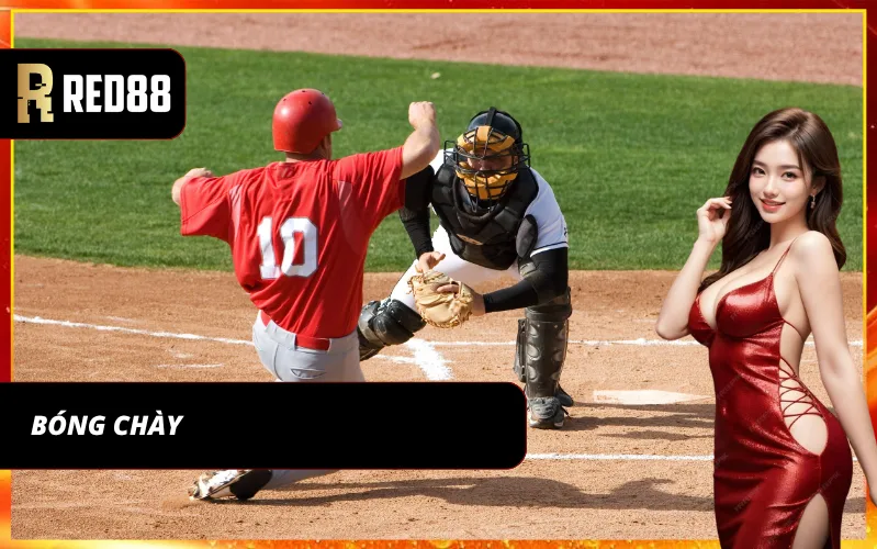 Cá cược bóng chày chuyên nghiệp tại sảnh thể thao SABA