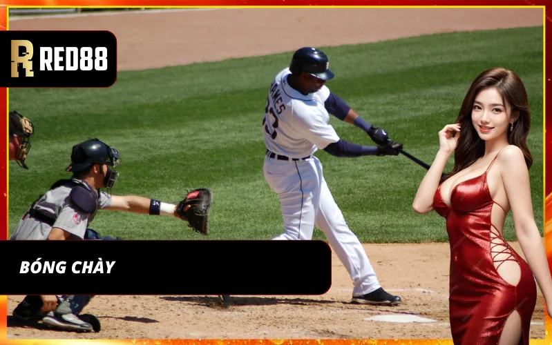 Bộ môn cá cược bóng chày trực tuyến được giới đam mê thể thao yêu thích