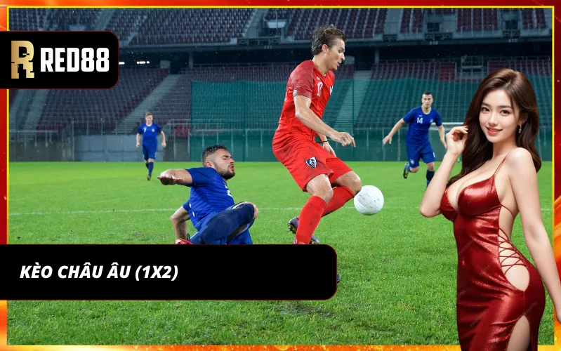 Kèo Châu Âu mang đến sự đơn giản và dễ hiểu cho người mới tham gia